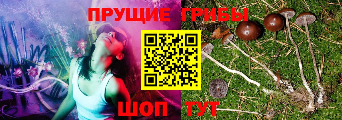Псилоцибиновые грибы мицелий Ливны
