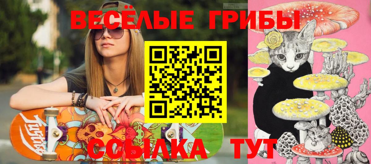 Псилоцибиновые грибы GOLDEN TEACHER  Псилоцибиновые грибы Cubensis  Ливны  Вход с VPN 